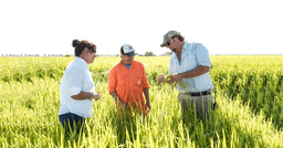 AGRO logo