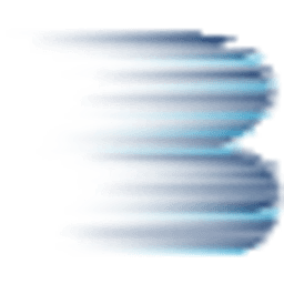 BDN logo