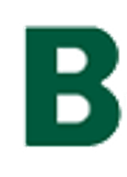 BWMN logo