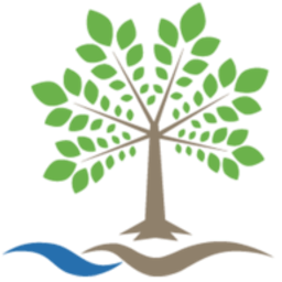 BYSI logo