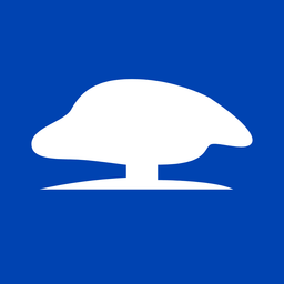 DLS logo