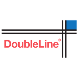 DSL logo