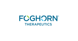FHTX logo