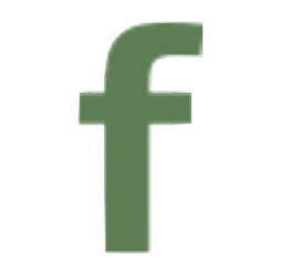 FN logo