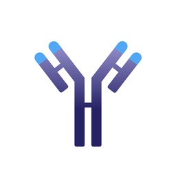 IMVT logo