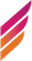 IONS logo