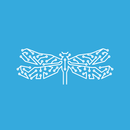 NNDM logo