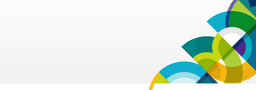 NNI logo