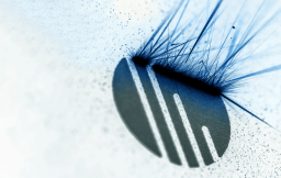 NOVT logo