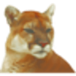 PBYI logo