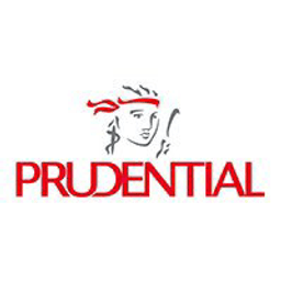 PUK logo
