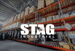 STAG logo