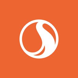 STN logo