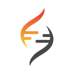 STOK logo