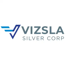 VZLA logo
