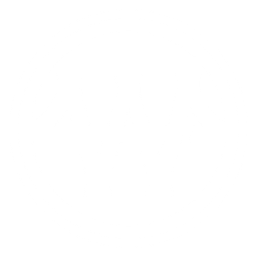 WBI logo